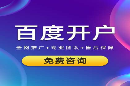 SEM推广策略：成功案例解析与效果评估